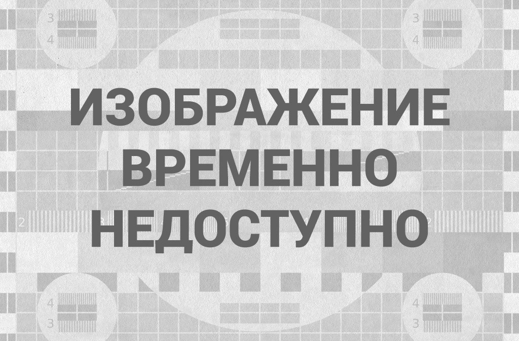 "Мы прекращаем работу c понедельника": Ozon и Wildberries приняли новое решение для всех граждан